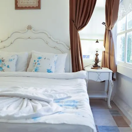 Hotel Dantela Butik 2*